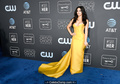 Jeanine Mason cleavage in long yellow dress