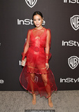 Jamie Chung at InStyle WB 76th Annual Golden Globe Awards After Party in