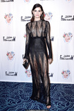 Isabeli Fontana posing in see through dress
