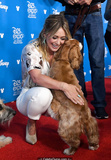 Hilary Duff at D23 Disney+ Event in Anaheim - August 23, 2019