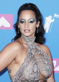 Dascha Polanco braless in see through dress