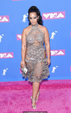 Dascha Polanco braless in see through dress