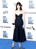 Dakota Johnson at 34th Film Independent Spirit Awards in Santa Monica -