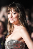 Dakota Johnson in long night dress at red carpet