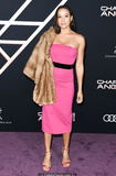 Dania Ramirez at Premiere of Columbia Pictures ''Charlie's Angels'' in Los