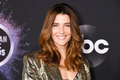 Cobie Smulders leggy at 2019 American Music Awards in LA - November 24, 2019