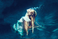 Avril Lavigne - David Needleman photoshoot for Head Above Water Single 2018