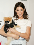 Ashley Greene at 30th Annual A Time for Heroes Family Festival at Smashbox