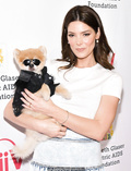 Ashley Greene at 30th Annual A Time for Heroes Family Festival at Smashbox