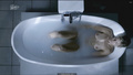 Alexia Barlier nude in a bathtub movie scenes