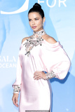 Adriana Lima at Gala for the Global Ocean 2019 in Monte-Carlo, Monaco -
