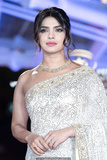 Priyanka Chopra at Tribute to Australian Cinema at 18th Marrakech Film Festival