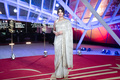 Priyanka Chopra at Tribute to Australian Cinema at 18th Marrakech Film Festival