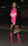 Leomie Anderson in pink mini dress at Bankside Hotel in London - December 09,
