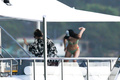 Kendall Jenner in a Bikini (36 Photos)