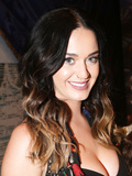 Katy Perry Sexy (24 Photos)