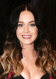 Katy Perry Sexy (24 Photos)