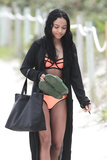Karrueche Tran in a Bikini (20 Photos)