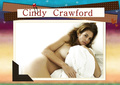 Cindy Crawford Hot (7 Photos)