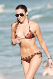 Katie Cassidy in a Bikini (34 Photos)