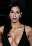 Sarah Silverman Cleavage (28 Photos)