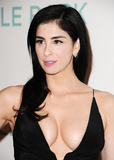 Sarah Silverman Cleavage (28 Photos)