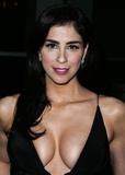Sarah Silverman Cleavage (28 Photos)