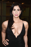 Sarah Silverman Cleavage (28 Photos)