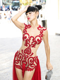 Bai Ling See Through (20 Photos)