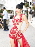 Bai Ling See Through (20 Photos)