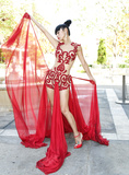 Bai Ling See Through (20 Photos)