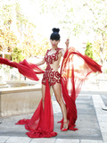 Bai Ling See Through (20 Photos)