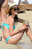 Alessandra Ambrosio in a Bikini (27 Photos)