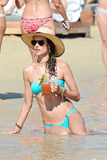Alessandra Ambrosio in a Bikini (27 Photos)