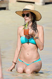 Alessandra Ambrosio in a Bikini (27 Photos)