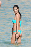 Alessandra Ambrosio in a Bikini (27 Photos)