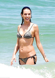 Alessandra Ambrosio in a Bikini (19 Photos)