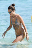 Alessandra Ambrosio in a Bikini (29 Photos)