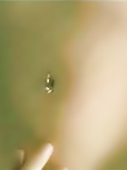 Kim Dickens ("Lost") NUDE