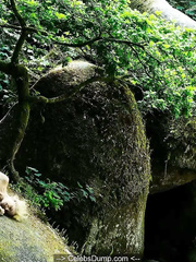 Claudia Fortunato nude at Vortex (2019)