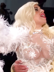 Lady Gaga See Through (10 Photos)