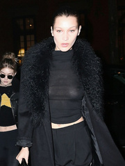 Bella Hadid Sexy (12 Photos)