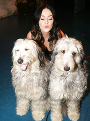 Katy Perry Sexy (24 Photos)