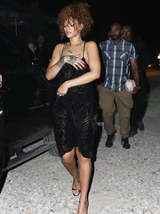 Rihanna See Through (8 Photos)