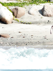 Gwyneth Paltrow in a Bikini (15 Photos)