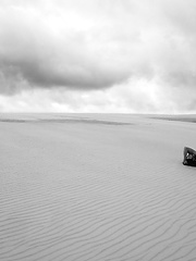 Shauna Sexton Hot (4 Photos)