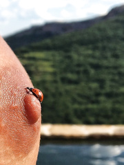 Marisa Papen Hot& Sexy (59 Photos)