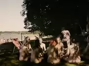 Frida Bagri, Sonja Richter - Sons of Norway (2011)