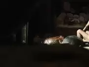 Agnieszka Pawelkiewicz - Zabic Bobra