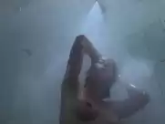 Silke Brodinger - Insel der Furcht